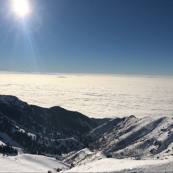 Meet your Posher, Mr - Picture 1 of 1